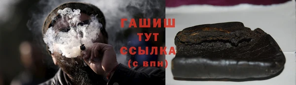 индика Вяземский