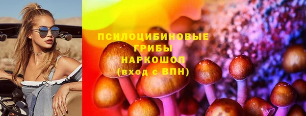 индика Вяземский